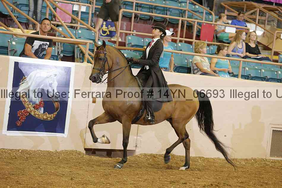 Proof 14yn_06693