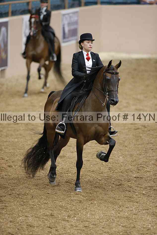 Proof 14yn_06694