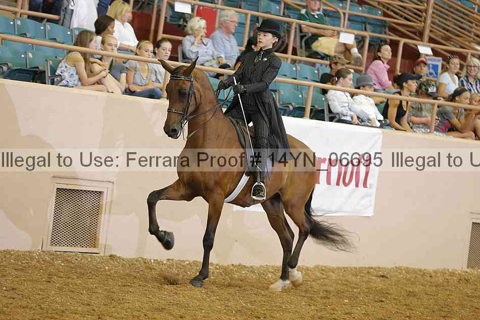 Proof 14yn_06695