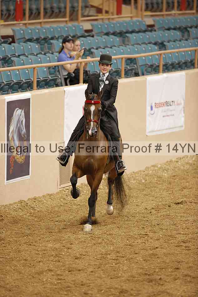 Proof 14yn_06696