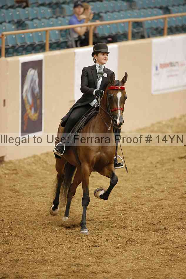 Proof 14yn_06698