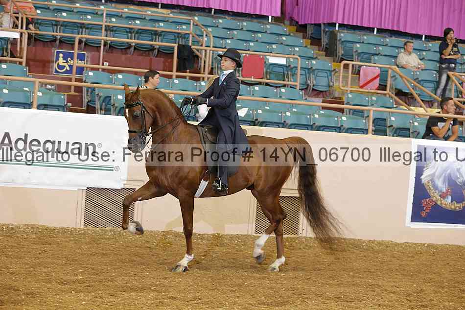 Proof 14yn_06700