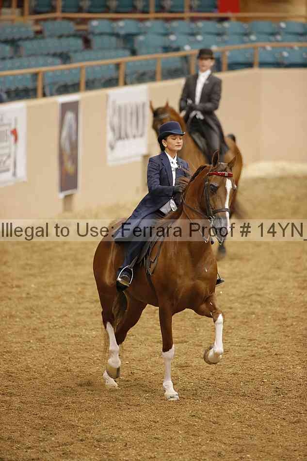 Proof 14yn_06701