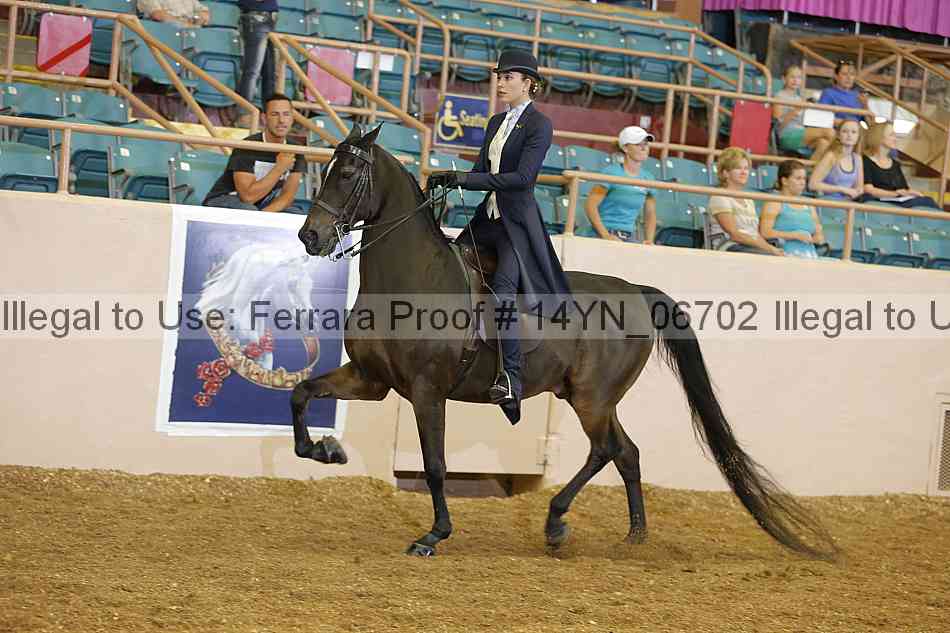 Proof 14yn_06702