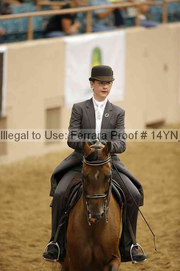 Proof 14yn_06703
