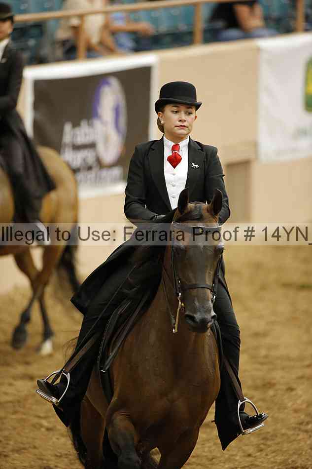 Proof 14yn_06704