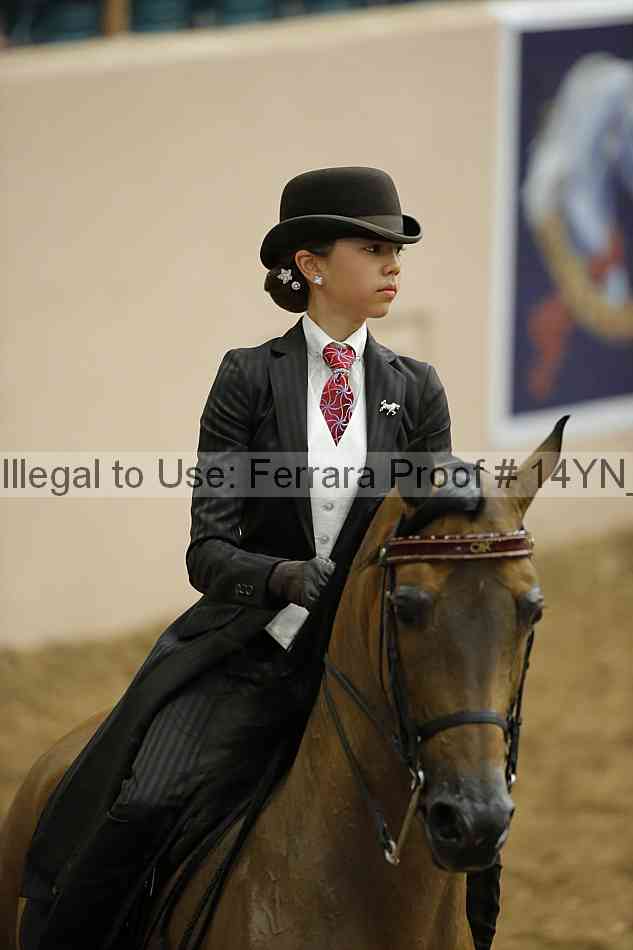 Proof 14yn_06705