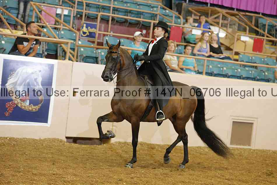 Proof 14yn_06706
