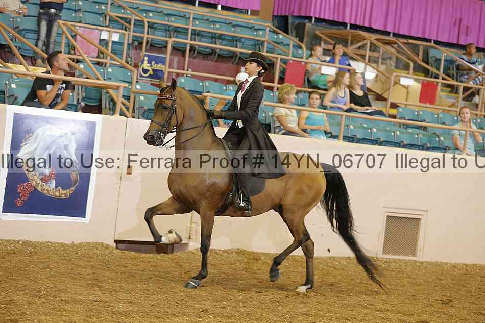 Proof 14yn_06707