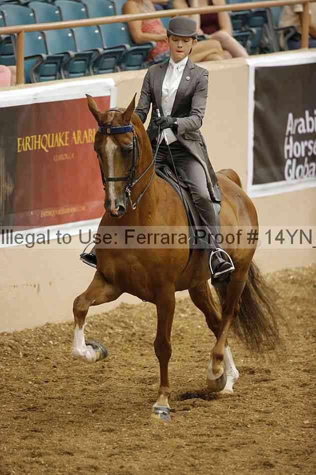 Proof 14yn_06708