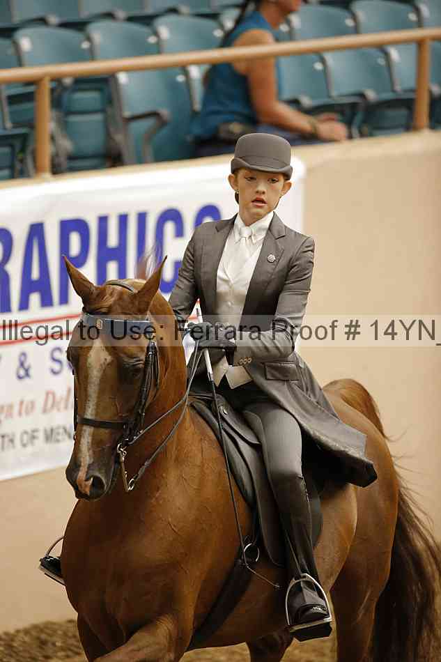 Proof 14yn_06709
