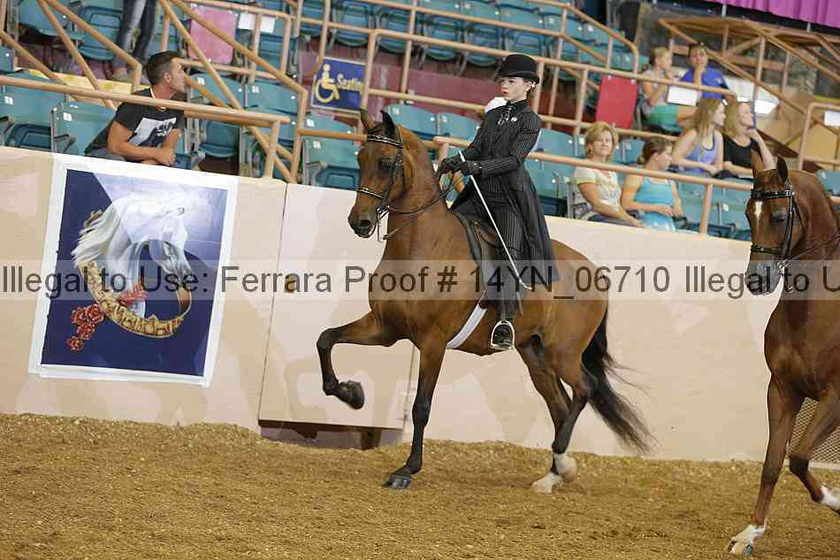 Proof 14yn_06710