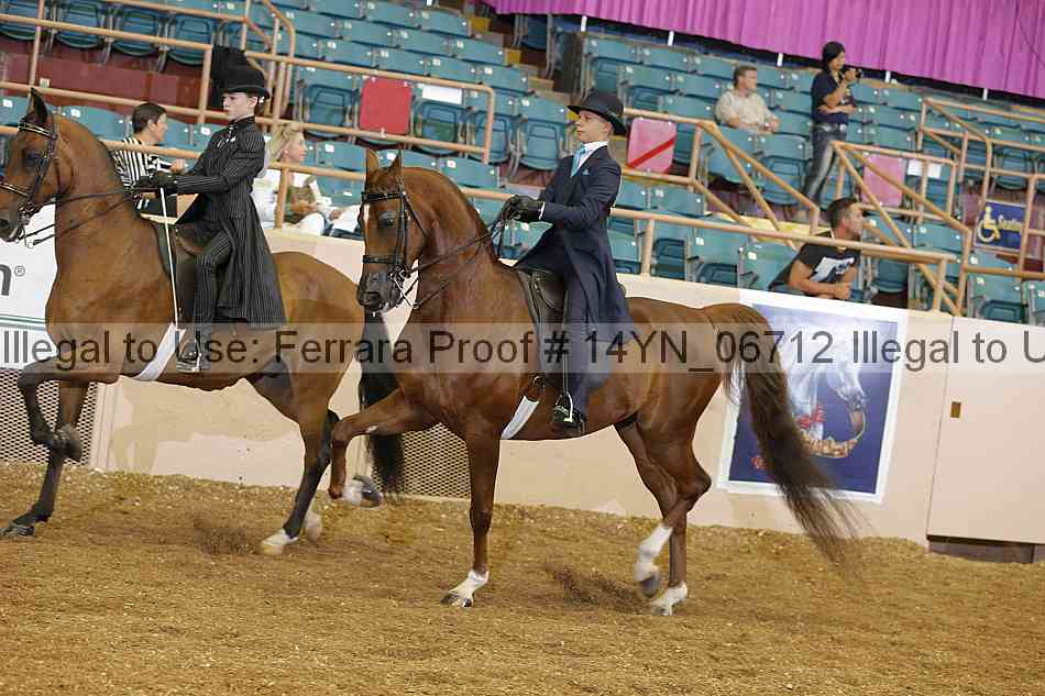 Proof 14yn_06712