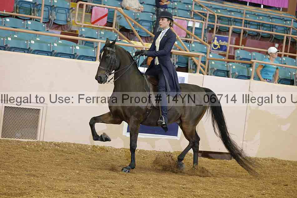 Proof 14yn_06714