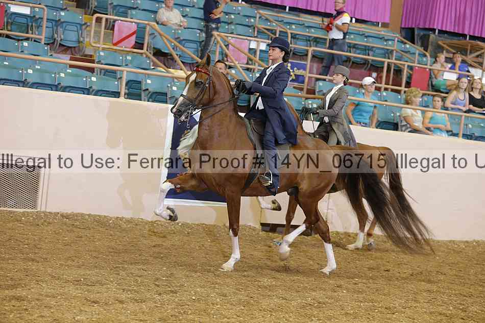 Proof 14yn_06715