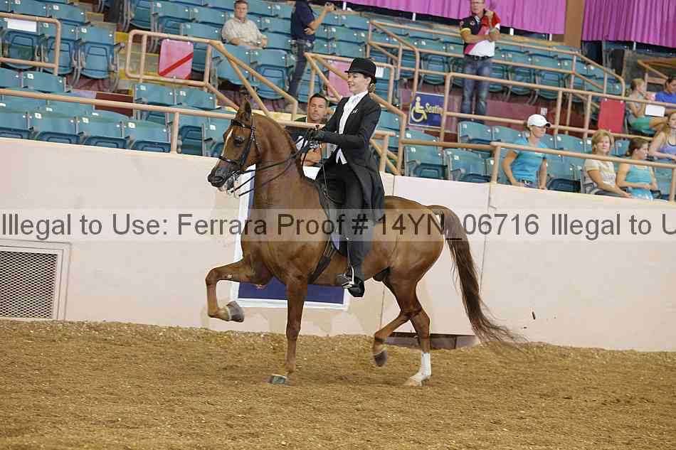 Proof 14yn_06716