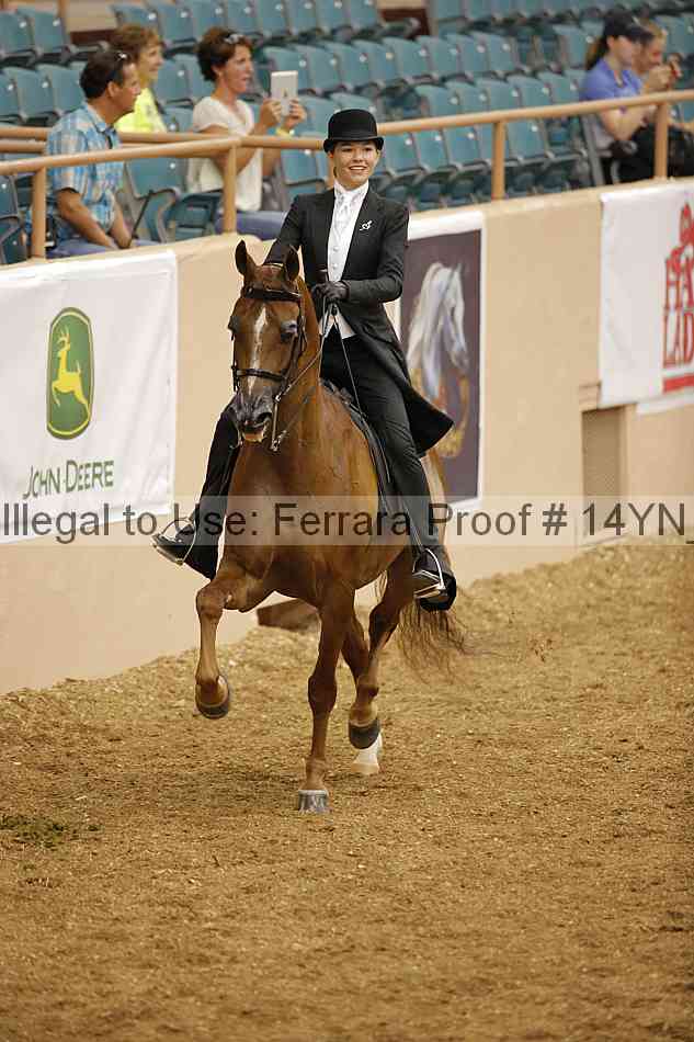 Proof 14yn_06721