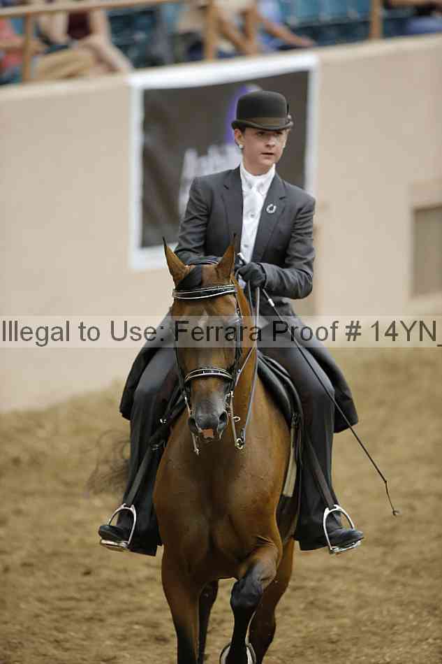 Proof 14yn_06724