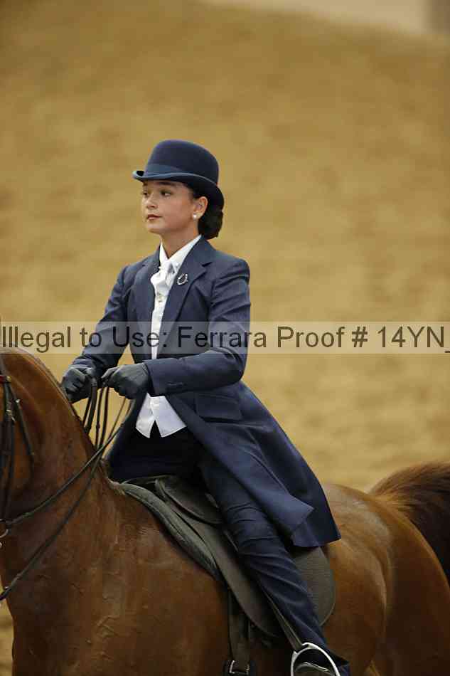 Proof 14yn_06726