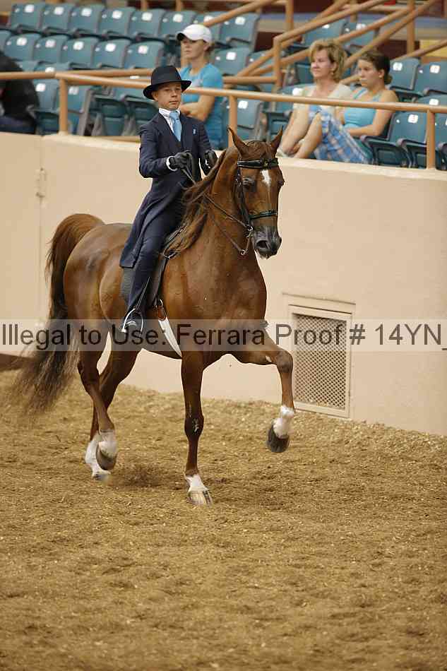 Proof 14yn_06731