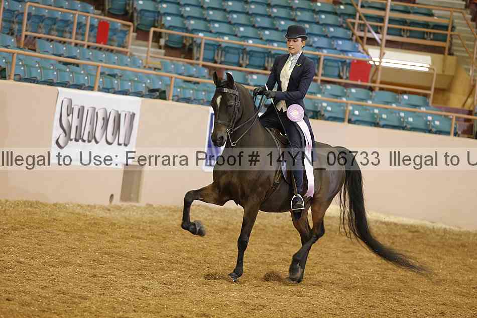 Proof 14yn_06733