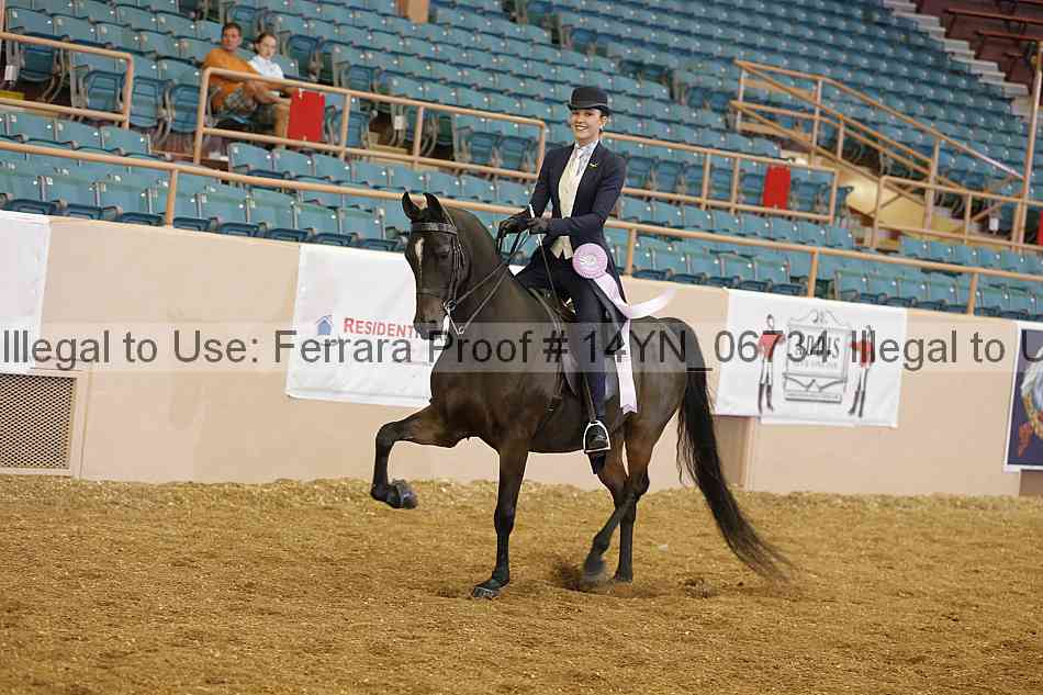 Proof 14yn_06734