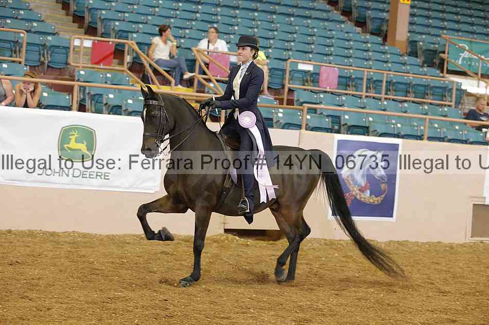 Proof 14yn_06735