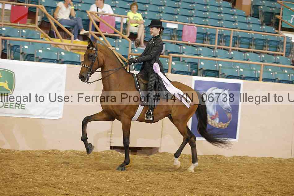 Proof 14yn_06738
