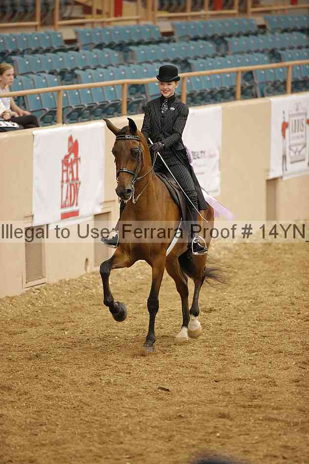 Proof 14yn_06739