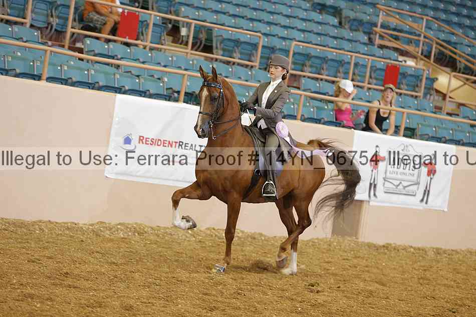 Proof 14yn_06754