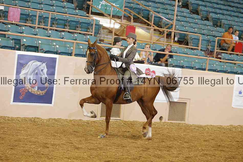 Proof 14yn_06755
