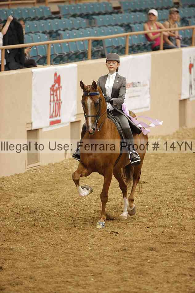 Proof 14yn_06758