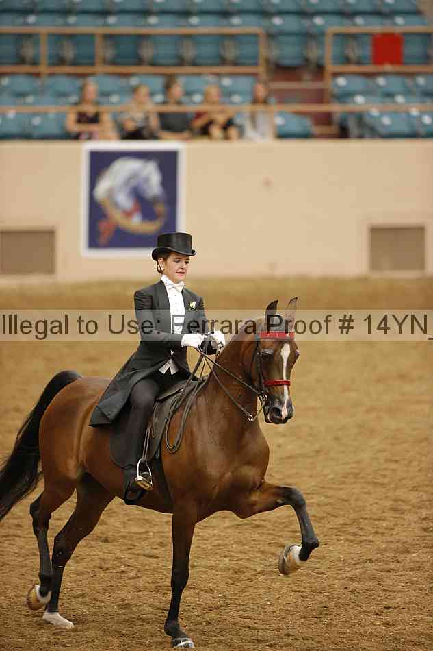 Proof 14yn_22185