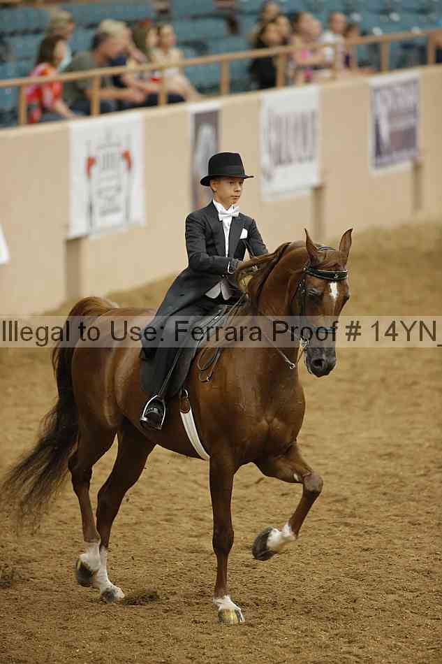 Proof 14yn_22189