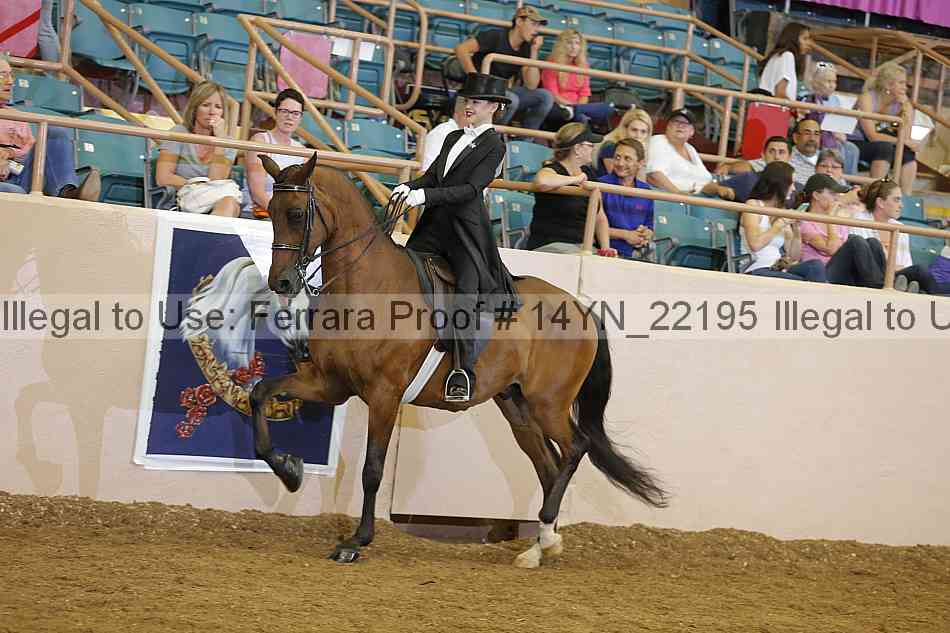 Proof 14yn_22195