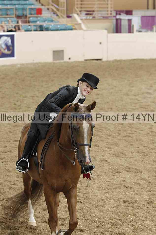 Proof 14yn_22261