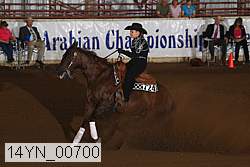 14yn_00700 proof