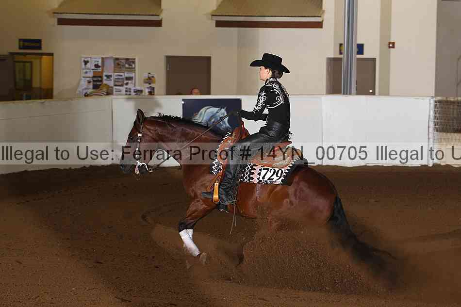 Proof 14yn_00705