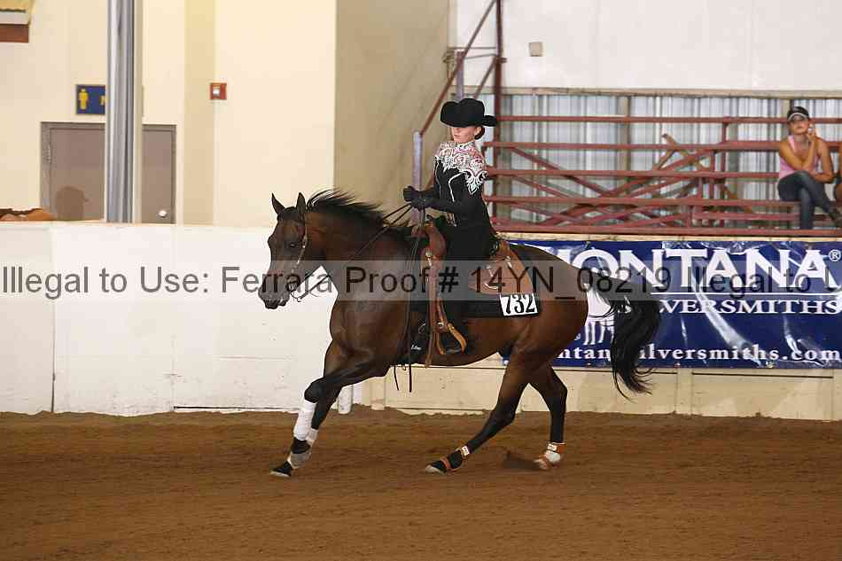 Proof 14yn_08219