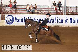 14yn_08226 proof