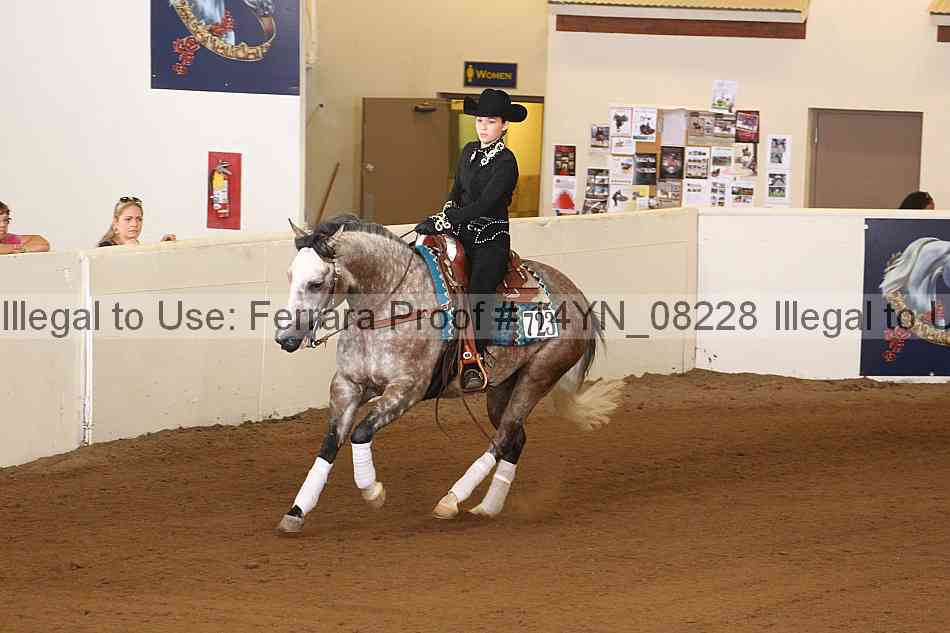 Proof 14yn_08228