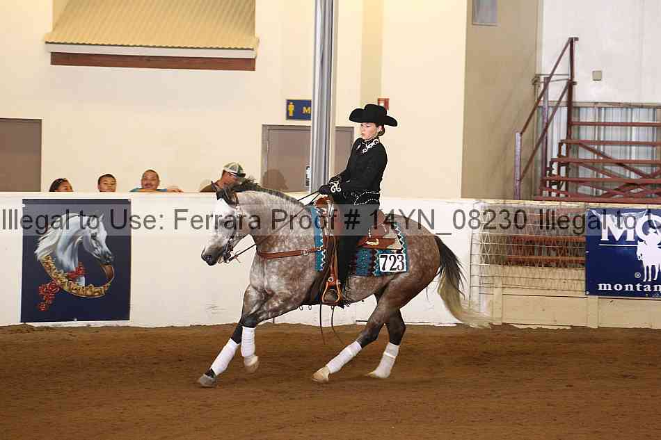 Proof 14yn_08230