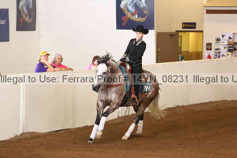 Proof 14yn_08231