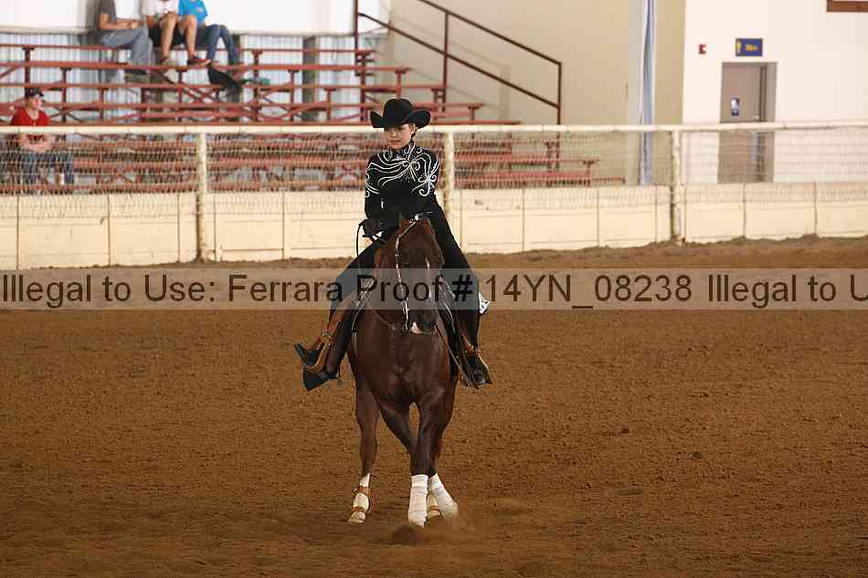 Proof 14yn_08238