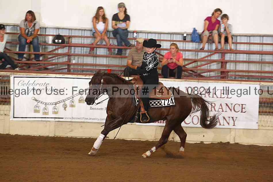 Proof 14yn_08241