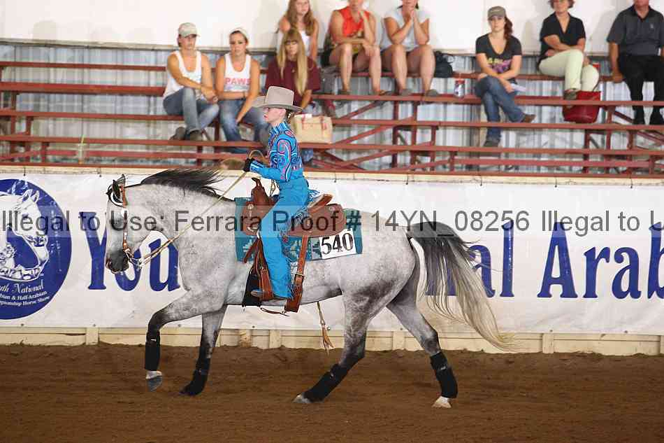 Proof 14yn_08256
