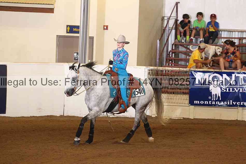 Proof 14yn_08257