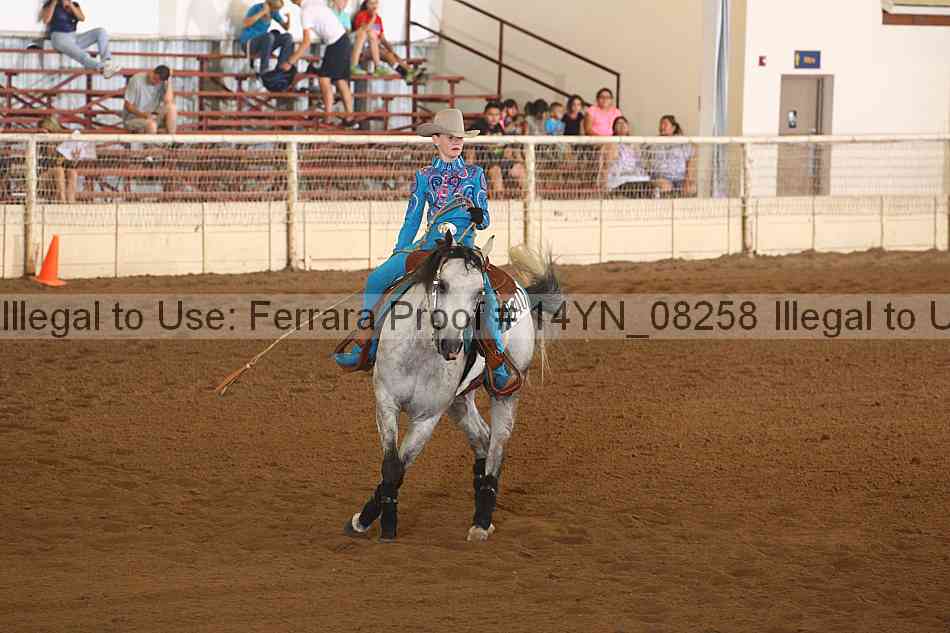 Proof 14yn_08258
