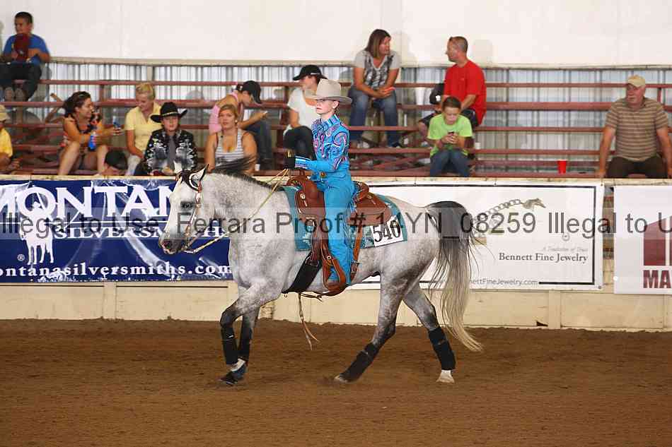 Proof 14yn_08259