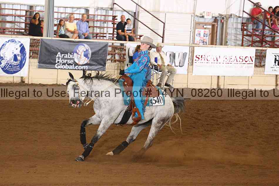 Proof 14yn_08260